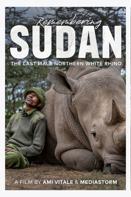 Remembering Sudan (2023) poster