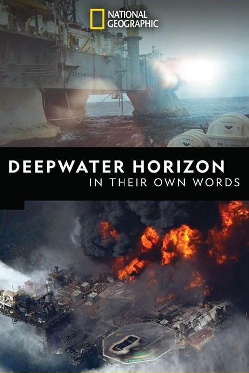 Deepwater Horizon: In Their Own Words (2019) poster