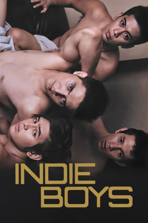 Indie Boys (2010) poster