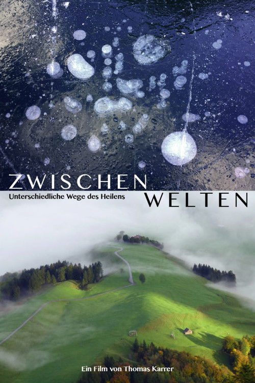 Zwischenwelten - Unterschiedliche Wege des Heilens (2020) poster