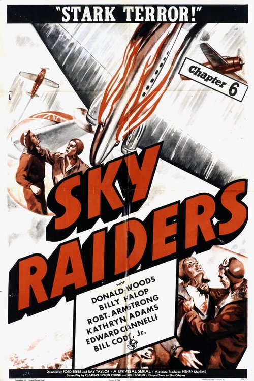Sky Raiders (1941) poster