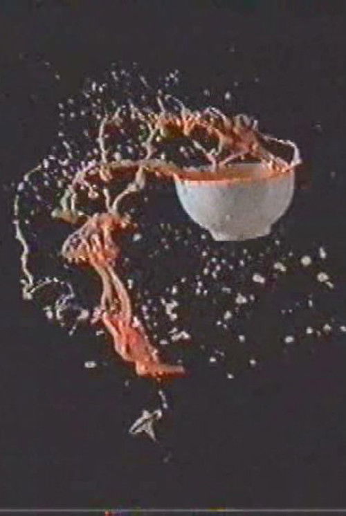 Déserts (1994) poster