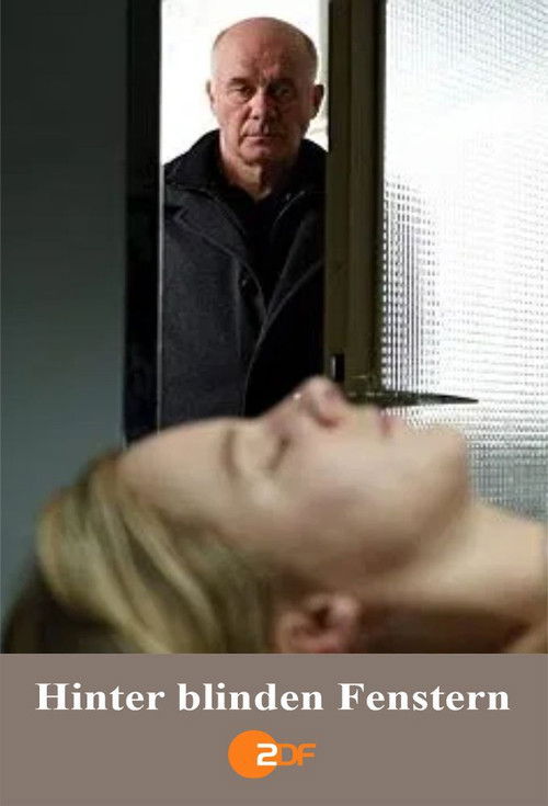 Hinter blinden Fenstern (2010) poster
