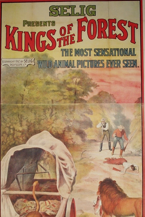 Kings of the Forest (1912) poster