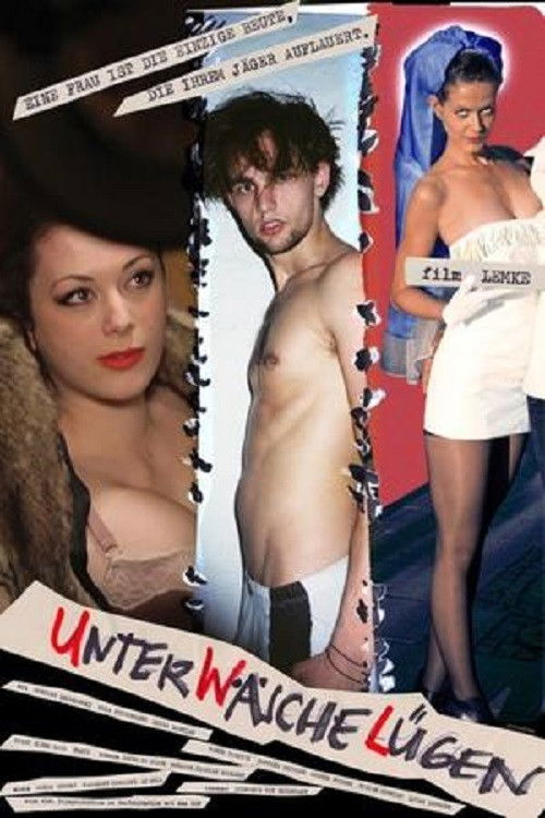 Unterwäschelügen (2016) poster
