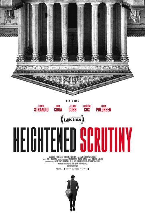 Heightened Scrutiny (2025) poster