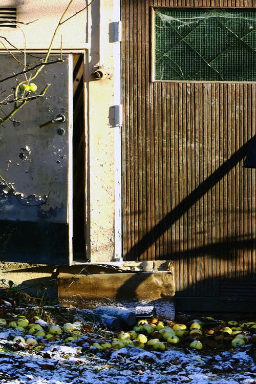 Dagerman: en garage musical (1992) poster