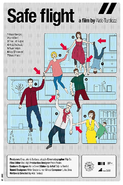 Safe Flight (2017) poster