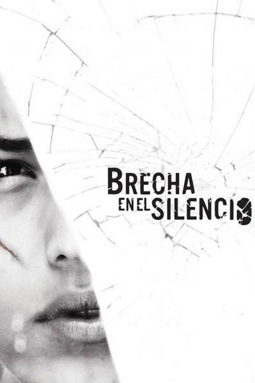 Breach in the Silence (2013) poster