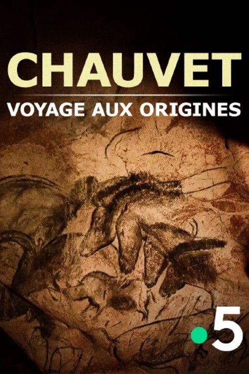 Chauvet, voyage aux origines (2025) poster