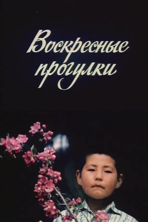 Sunday Walks (1984) poster