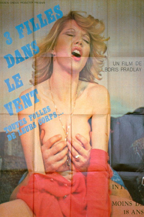 Trois filles dans le vent (1981) poster