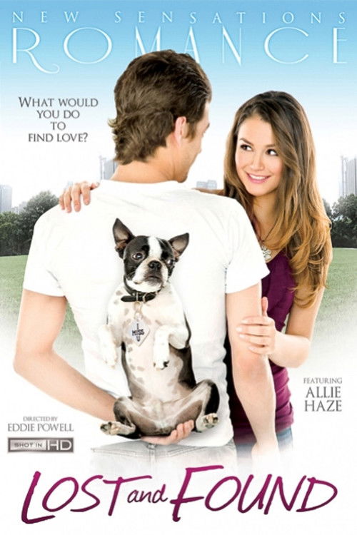 Lost and Found (2011) poster