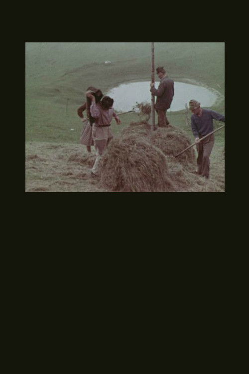 La montagna del sole (1966) poster