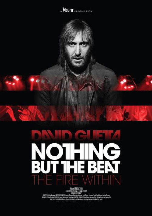Nothing But The Beat (2011) poster