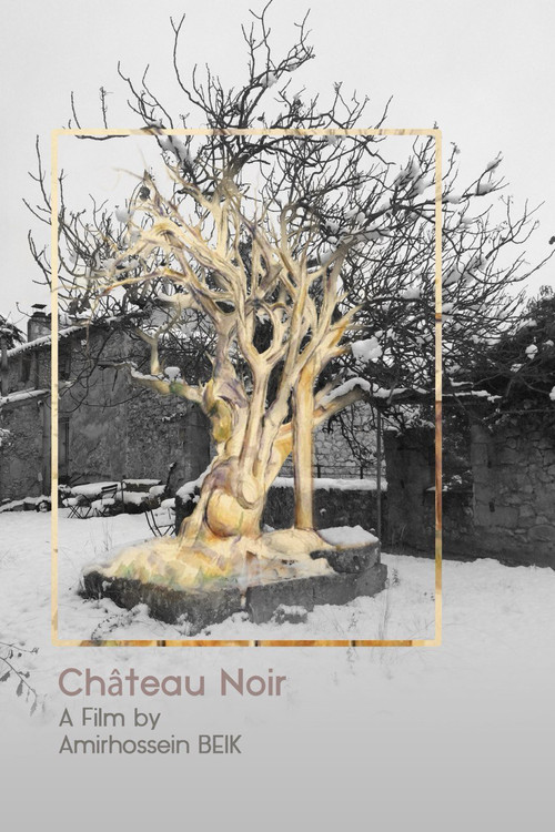 Château Noir (2022) poster