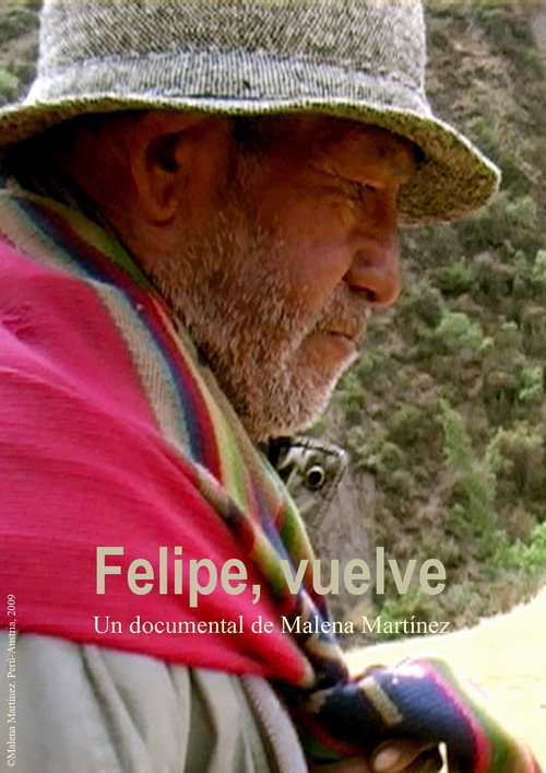 Felipe, vuelve (2009) poster