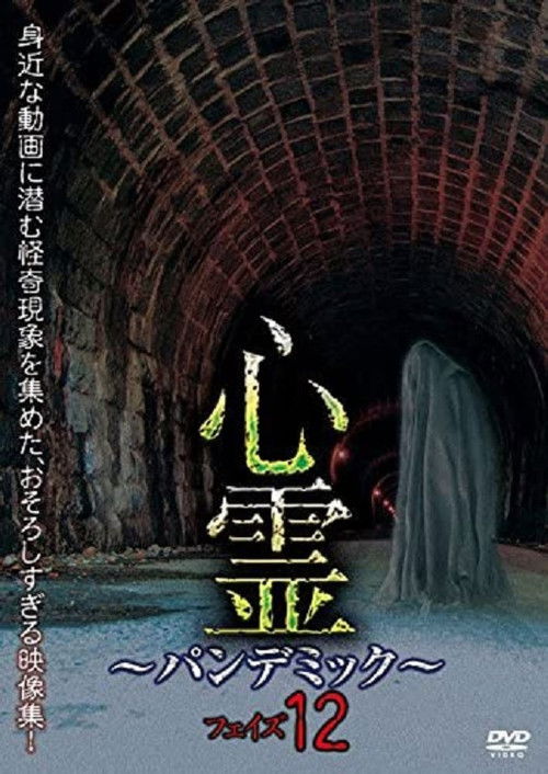 Spirit Pandemic Phase 12 (2018) poster