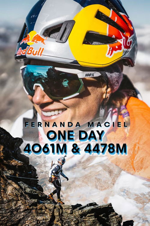 One Day, 4061m & 4478m (2020) poster