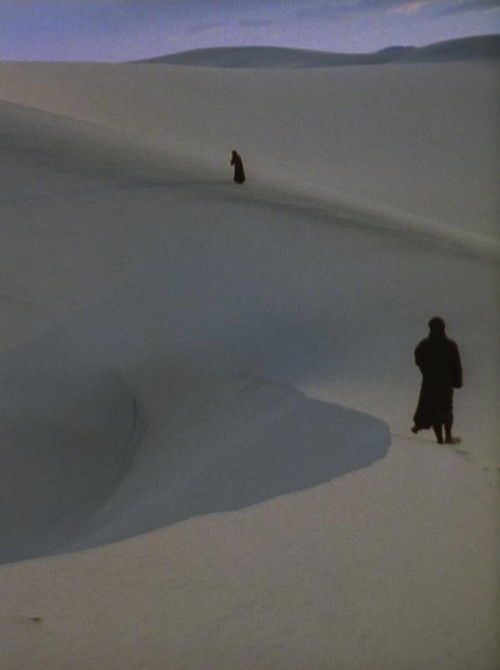 A Distant Echo (2016) poster