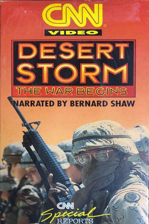 Desert Storm: The War Begins (1991) poster