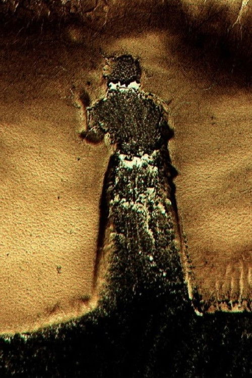 American Falls (2010) poster