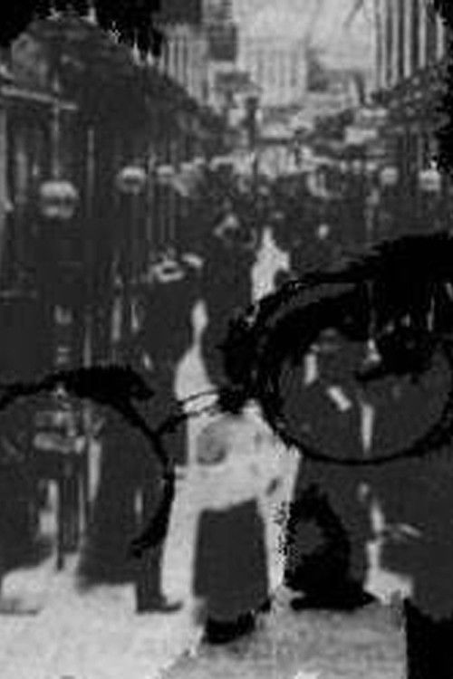 Flâneur III: Benjamin's Shadow (1998) poster