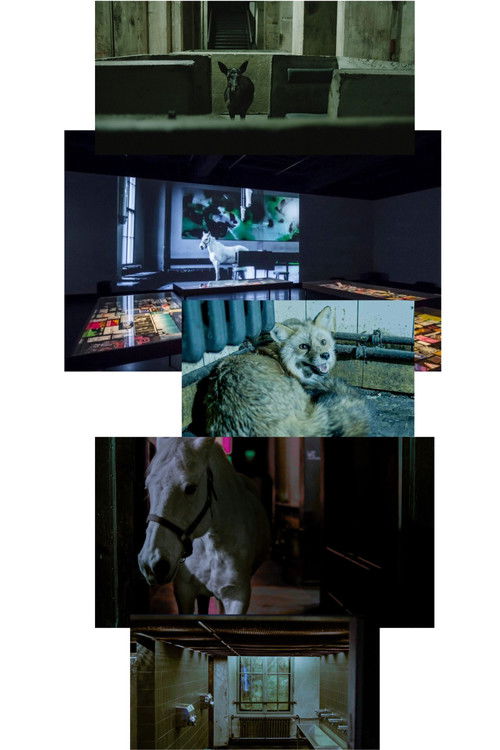 After Hours (2013) poster