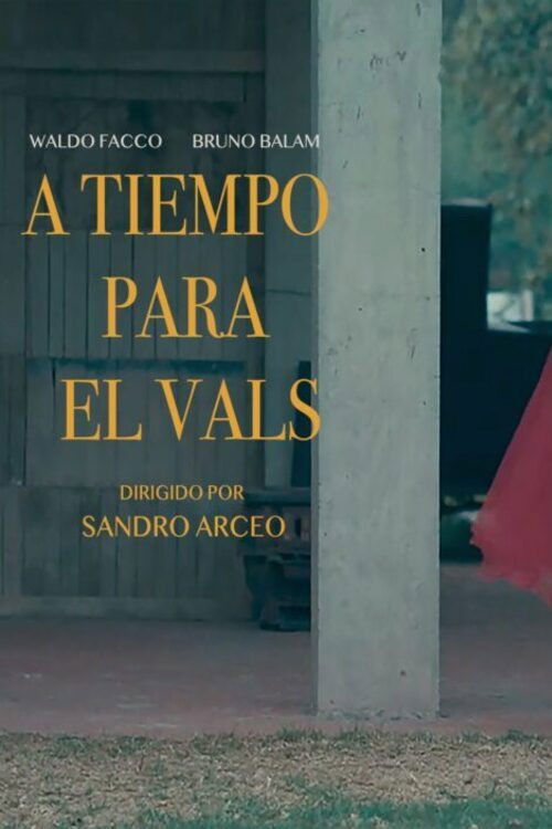 A tiempo para el vals (2023) poster