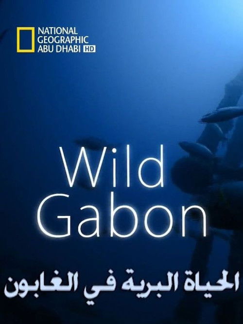 Wild Gabon (2014) poster