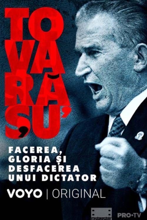 Tovarășu': facerea, gloria și desfacerea unui dictator (2023) poster