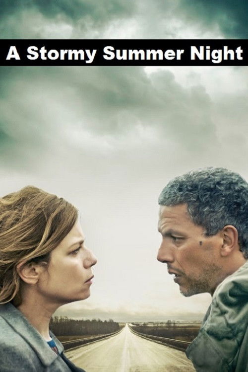 A Stormy Summer Night (2015) poster