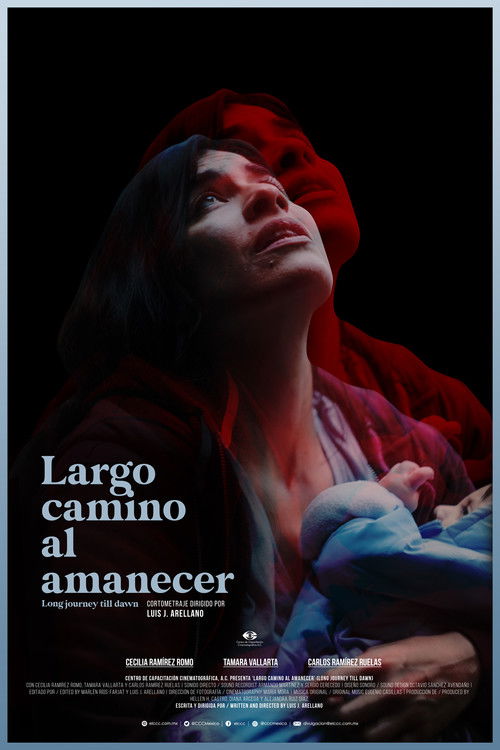 Long Journey Till Dawn (2024) poster