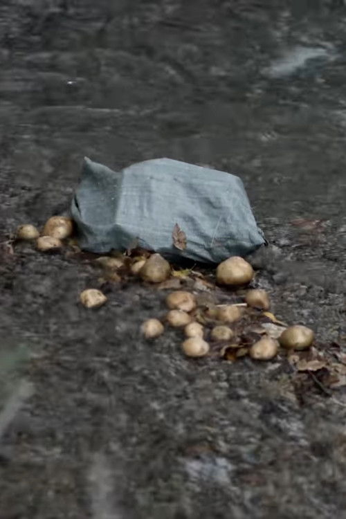 The Potato Eaters (2016) poster