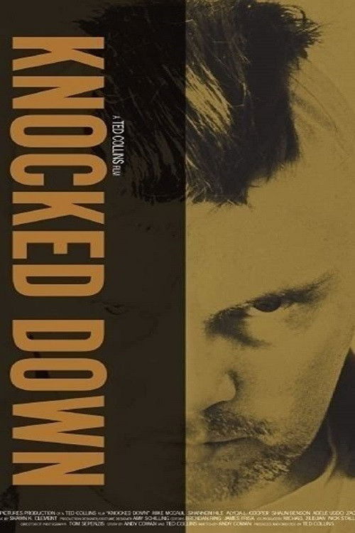 Knocked Down (2008) poster