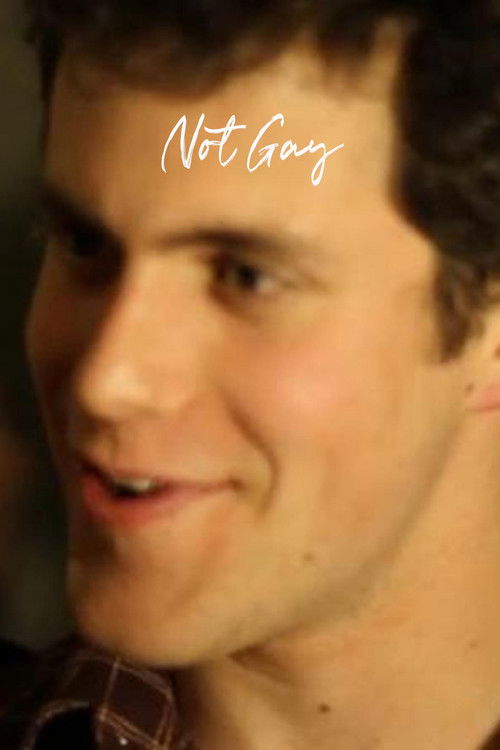 Not Gay (2013) poster