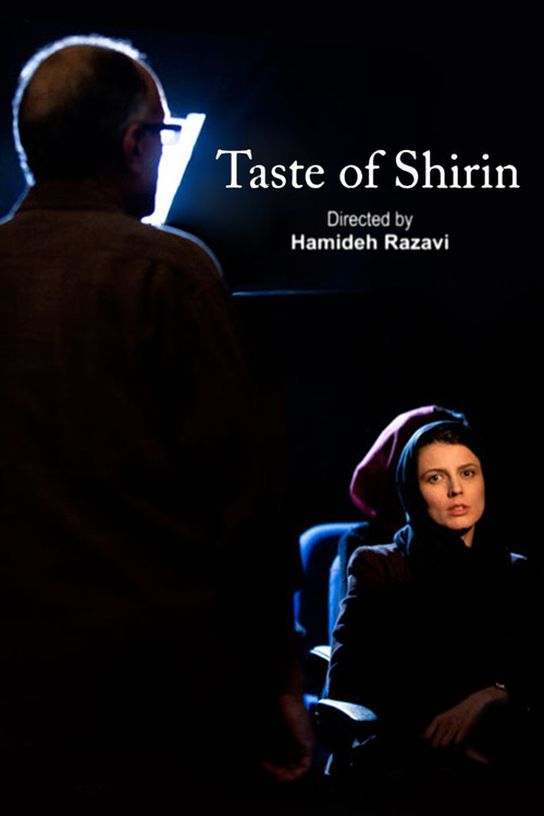 Taste of Shirin (2008) poster