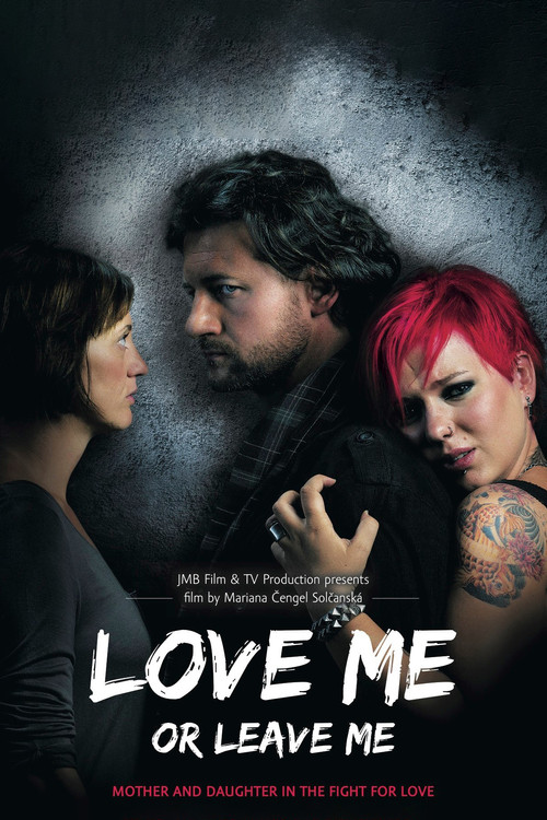 Love Me or Leave Me (2013) poster