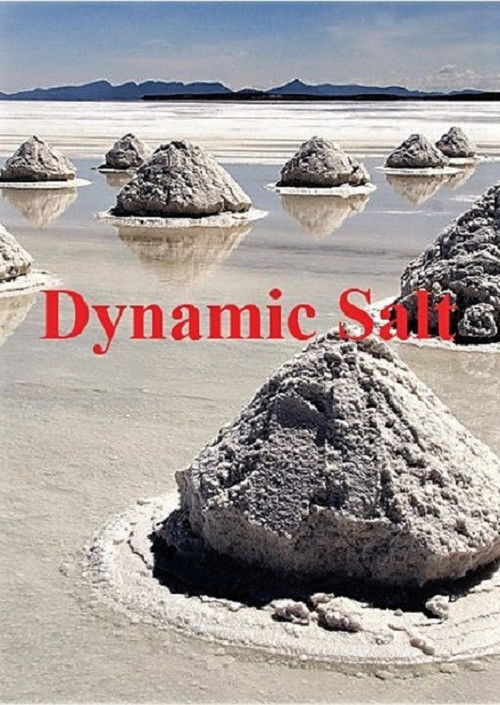 Dynamic Salt (2015) poster