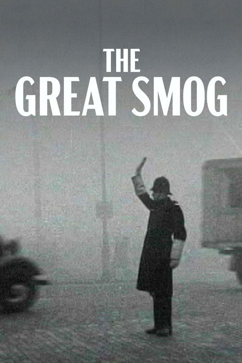 Et Londres disparut dans le brouillard (2026) poster