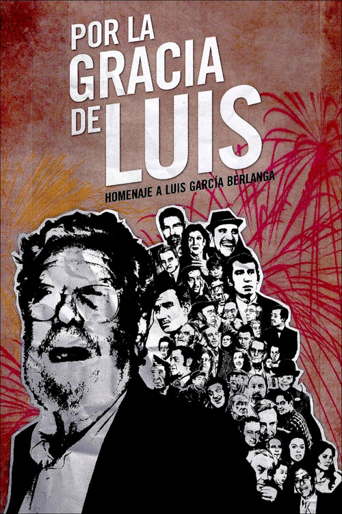 Por la gracia de Luis (2009) poster