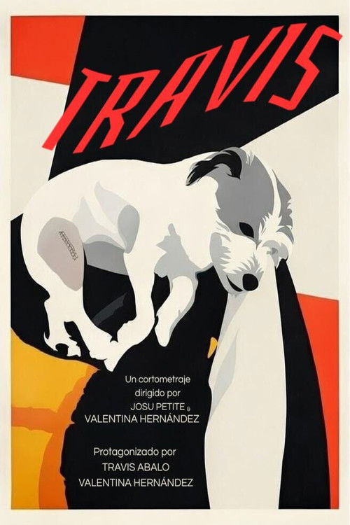 Travis (2026) poster