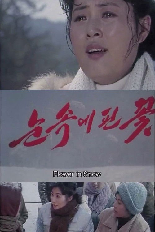 Flower in Snow (2011) poster