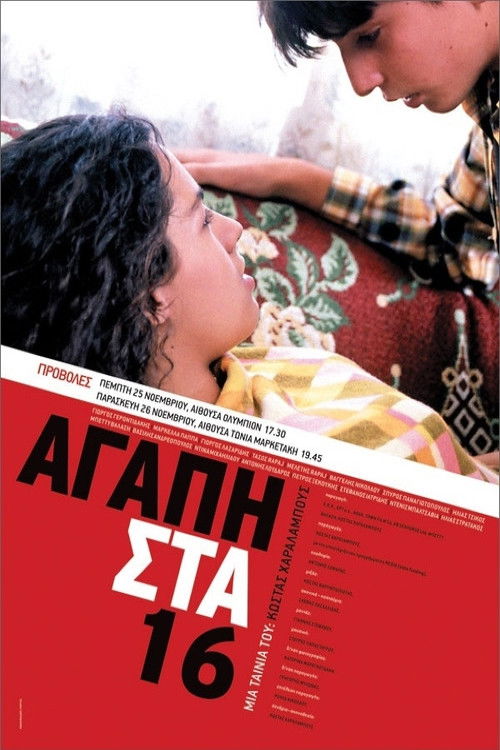 Love at 16 (2004) poster