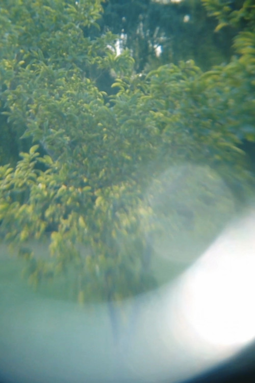 Labirint (2017) poster