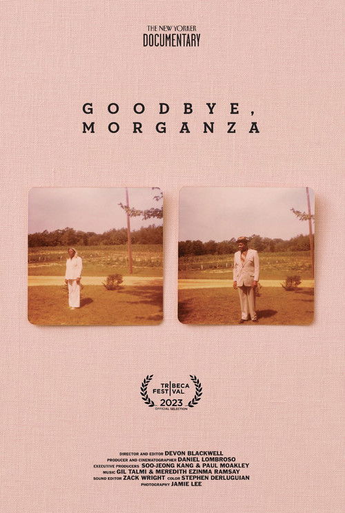 Goodbye, Morganza (2023) poster