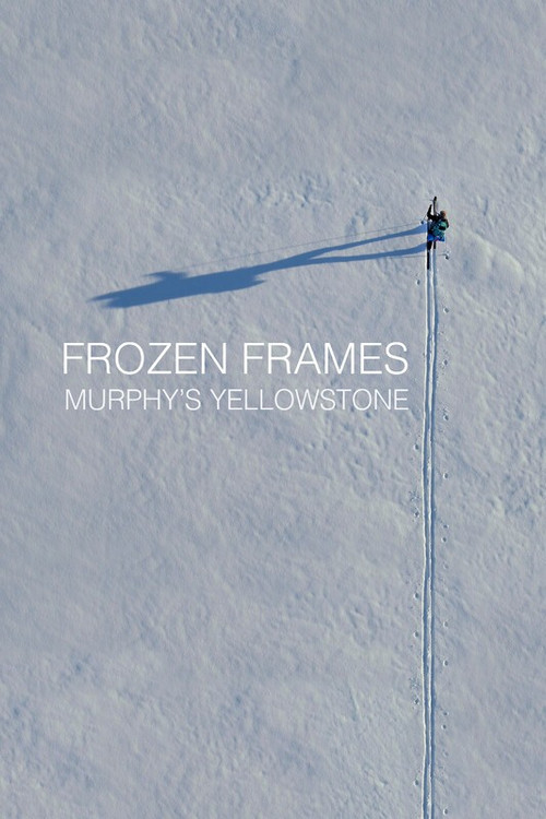 Frozen Frames: Murphy's Yellowstone (2025) poster
