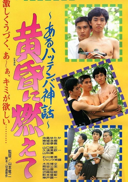 黄昏に燃えて あるハッテンバ神話 (1994) poster