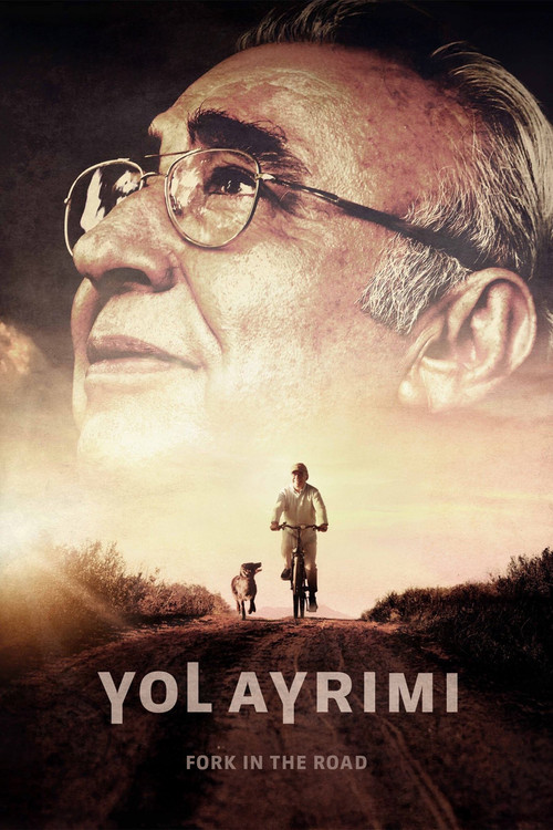 Yol Ayrımı (2017) poster