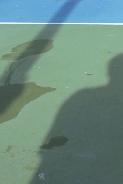 A Trip to the Park (2020) poster